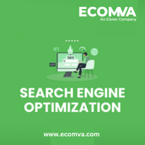 Search Engine Optimzation