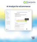 AI & Insight Platform