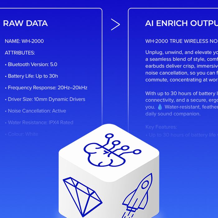 AI Enrich