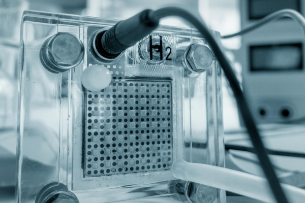 Fuel Cell