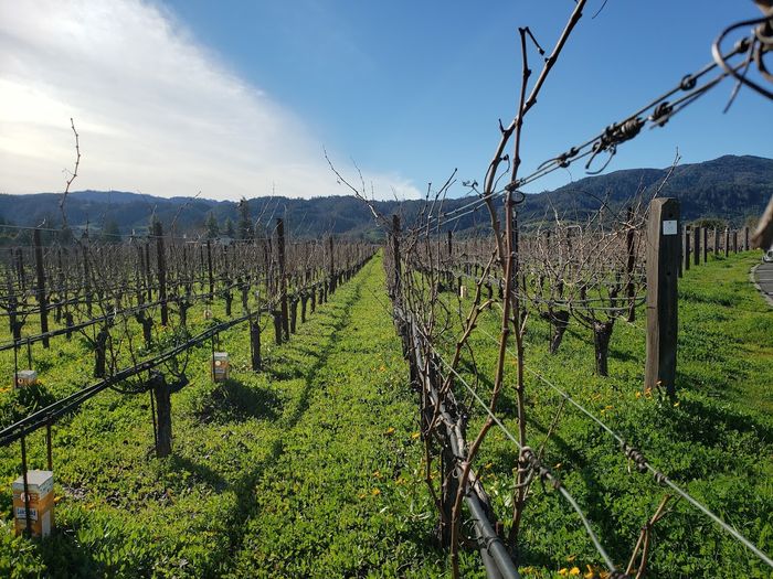 Opus One expands Chart carbon capture solution