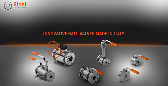 Ribel Ball Valves – Engineered Ball Valves for Demanding Industrial Applications
