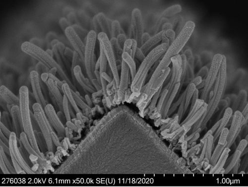 3M™ Nanostructured Supported Iridium Catalyst Powder
