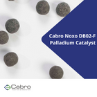 NOXO DB02-F Palladium Catalyst