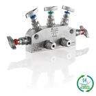 E Series Manifolds for use with Hydrogen and Fugitive Emissions