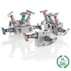 E Series Manifolds for use with Hydrogen and Fugitive Emissions