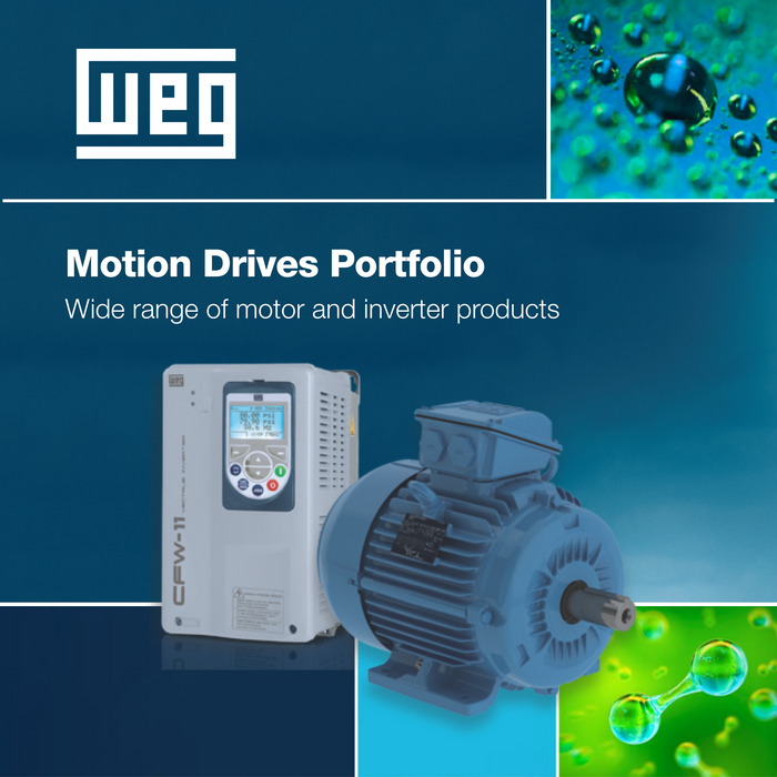 MOTION DRIVES PORTFOLIO