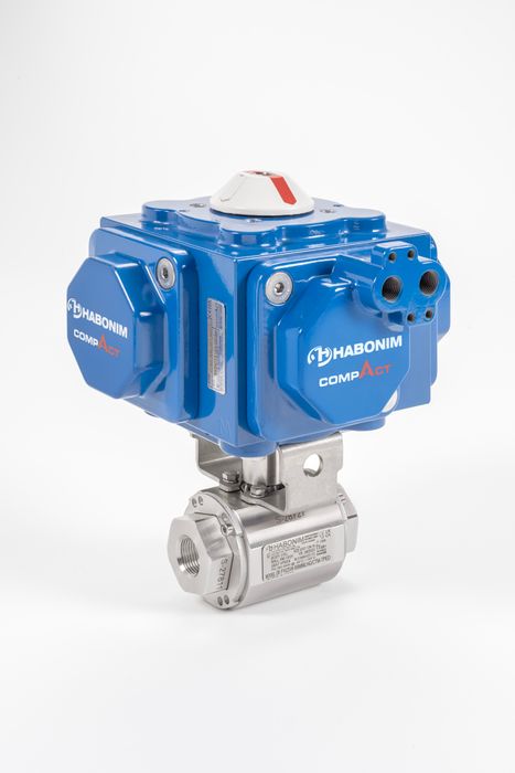 H25 Hydrogen Service High Pressure Floating Ball Valve