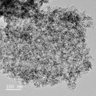 Pt/NCP Catalysts™
