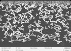 Ni-PTL for AEM Electroyzer