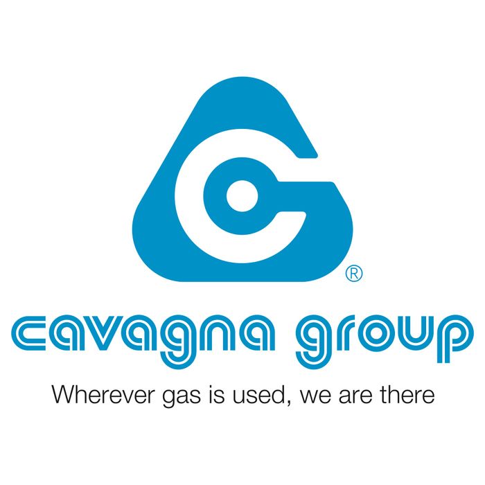 CAVAGNA GROUP spa