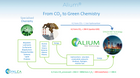 ALIUM RANGE