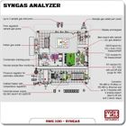 SWG 100 Syngas