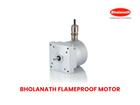Flameproof Motors