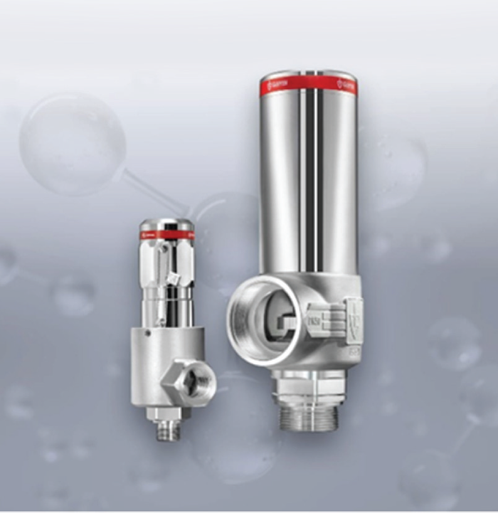The Role of Safety Valves in the Green Hydrogen Era