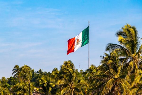 Alpha H2’s hydrogen injection kits are being trialled by Mexican transport companies for fleet operations