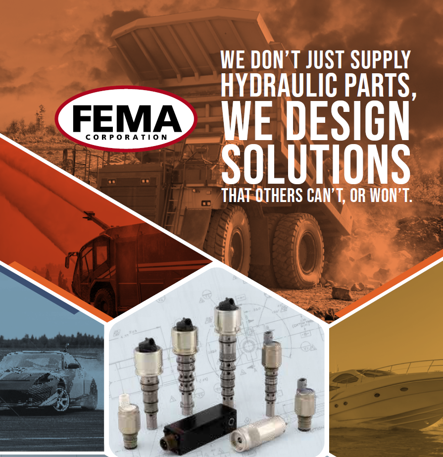 Fema Corporation Of Michigan