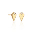 Shine On Stud Earrings