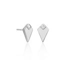 Shine On Stud Earrings