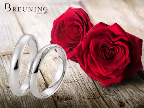 Wedding Rings