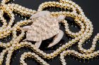Caretta Collection