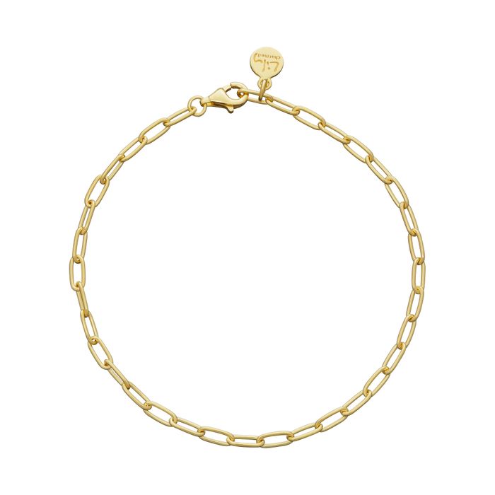 Oval Link Charm Bracelet