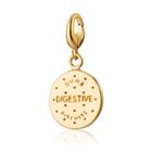 Digestive Biscuit Charm