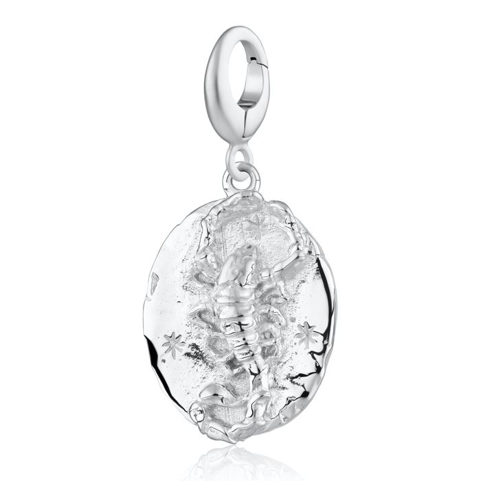 Zodiac Charm