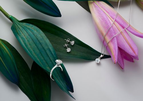 Blossom Collection