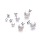 Pearl Studs