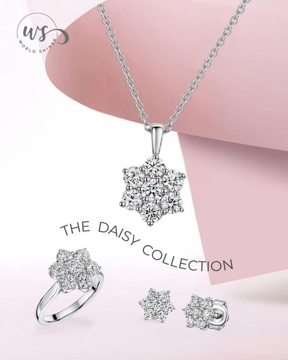 Daisy Cluster Collection