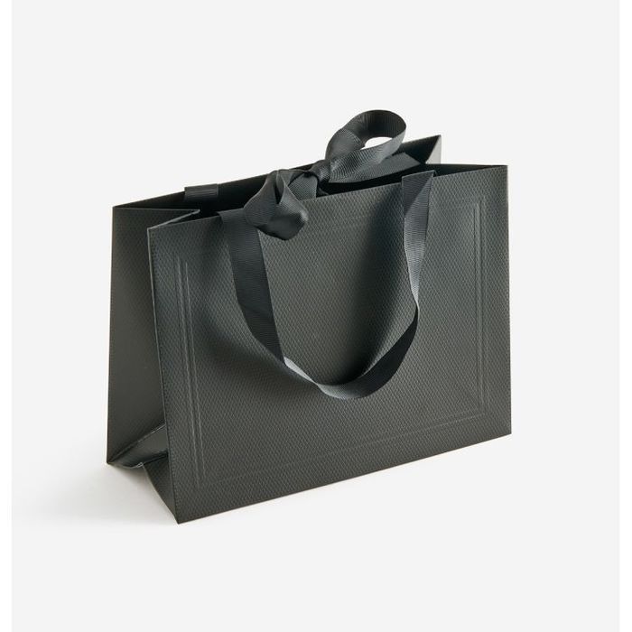 Boutique Gift Bag with Ribbon Handle and Tie