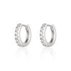 Huggie Earrings with Clear Stones