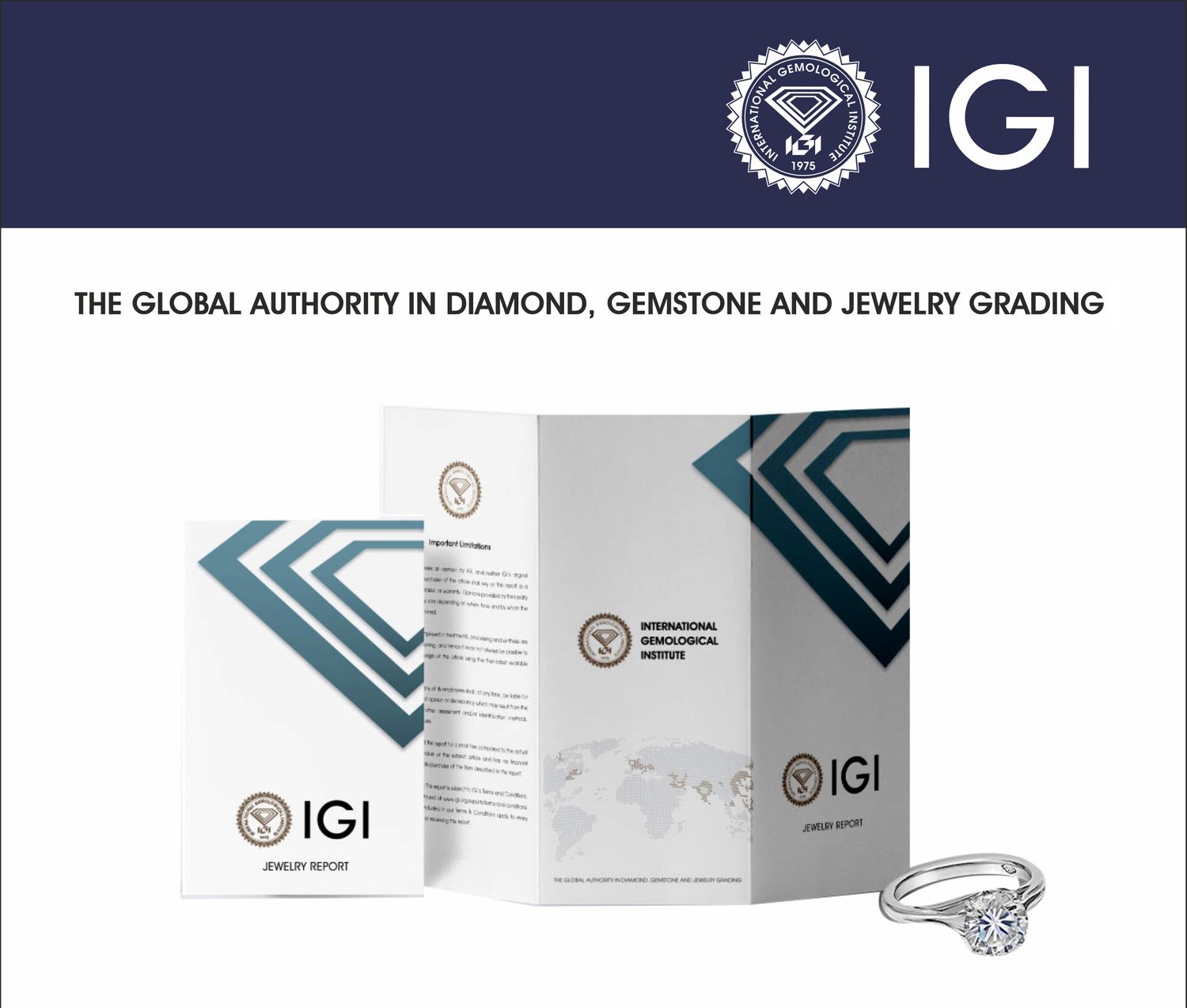 IGI International Gemological Institute