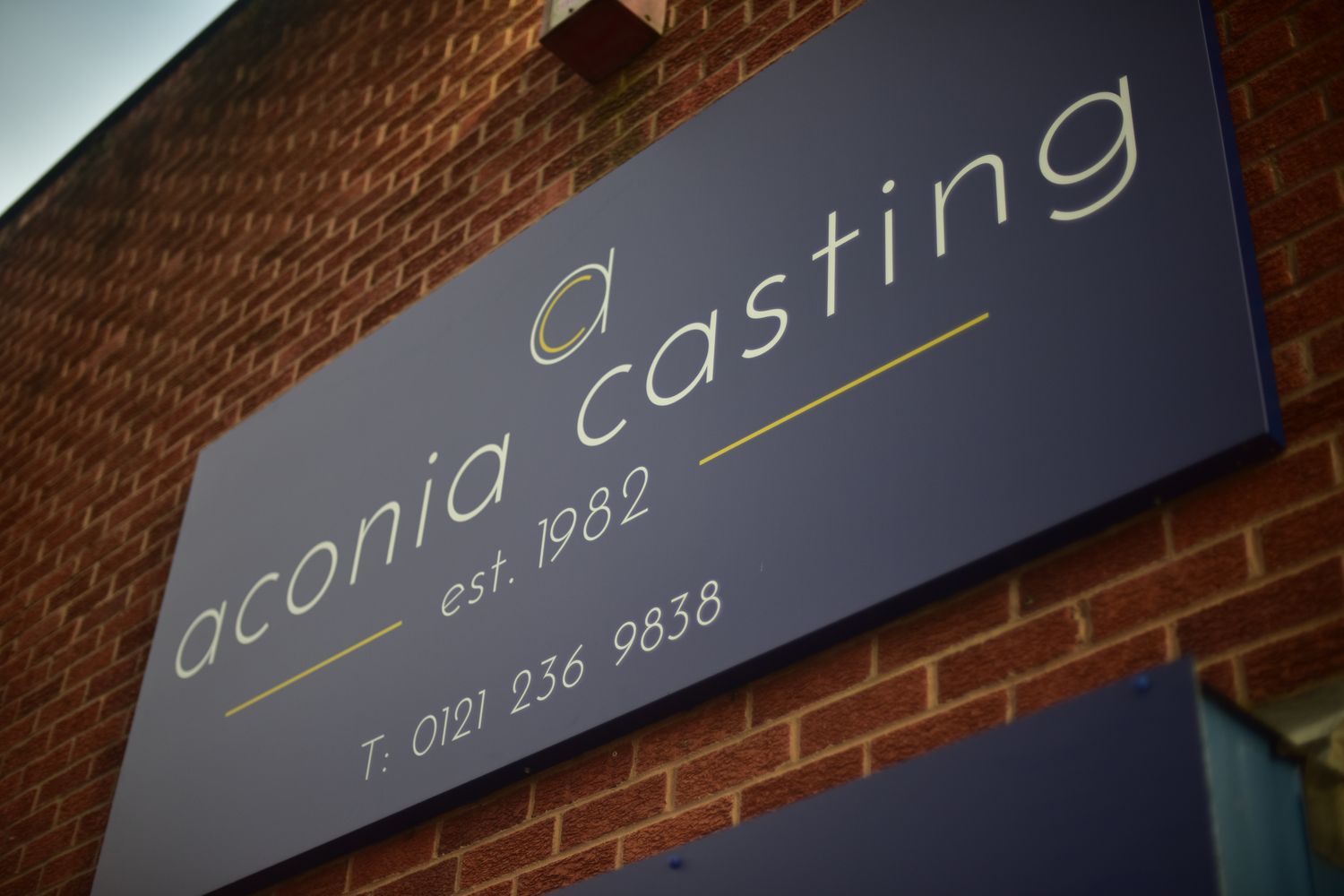 Aconia Casting