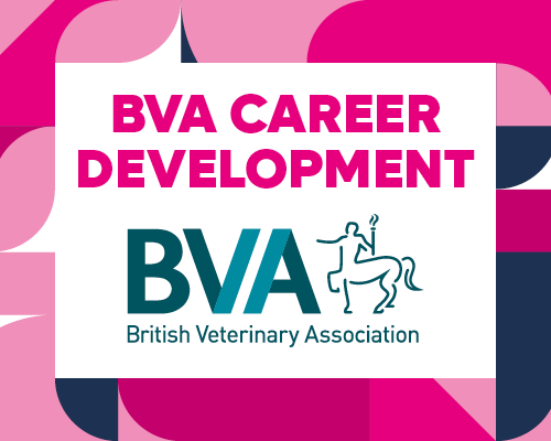 BVA Careers