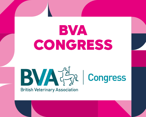 BVA Congress