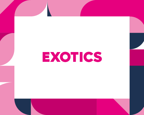 Exotics