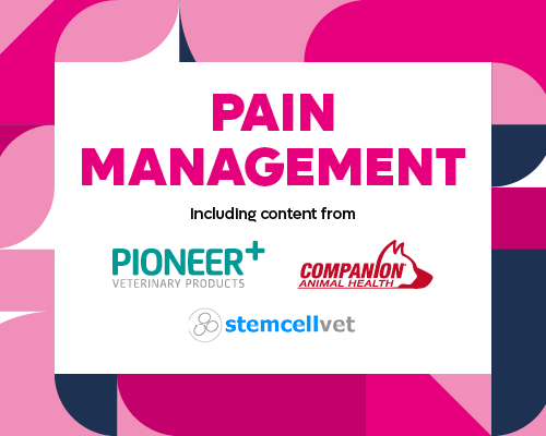 Pain Management