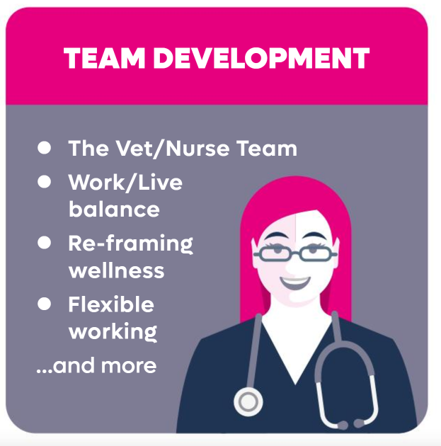 Team Development