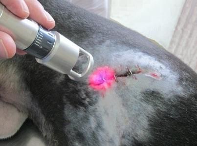 Anti-bacterial Properties of K-Laser Therapy