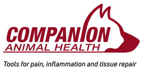 Companion Animal Health