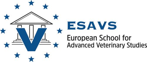 ESAVS