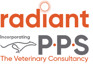 Radiant Financial Planning Ltd