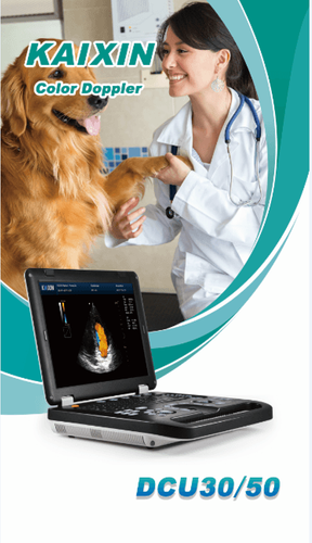 KAIXIN vet ultrasound (D22) welcome you