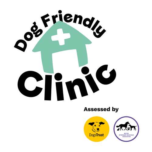 Dog Friendly Clinic