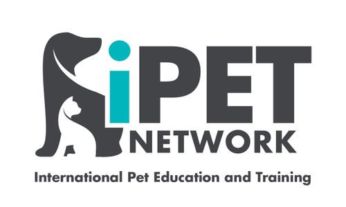 Inspiring qualifications brought to the London Vet Show from iPET Network