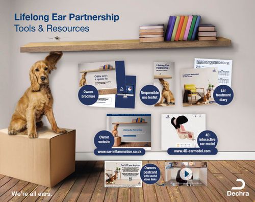 Dechra launches Lifelong Ear Partnership resources