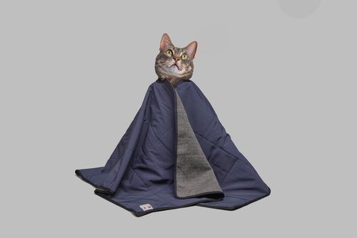 Introducing the MDC SMART CAT CAPE™