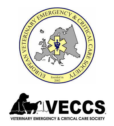 The international ECC stream returns to London Vet Show 2024!